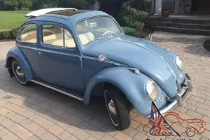 1959 Volkswagen Beetle - Classic Photo