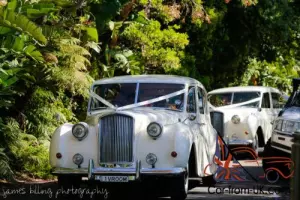 Austin Princess Vanden Plas Limousines
