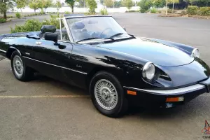 1989 alfa romeo graduate  095930 original miles 2 owner