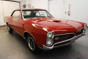Pontiac : GTO GTO Photo