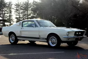 1967 Mustang Shelby GT350 Tribute