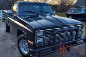 1980 Chevrolet C20/K20 Silverado