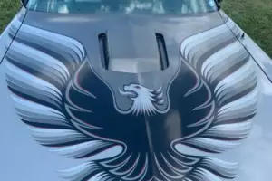 1979 Pontiac Trans Am Silver Anniversary Edition Photo