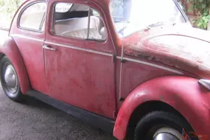 VW Beetle 61 Model Rare 50 50 Model in VIC