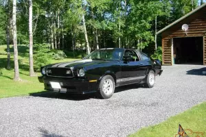 Ford : Mustang Mustang II King Cobra