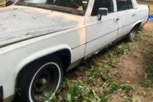 1984 Cadillac DeVille Photo