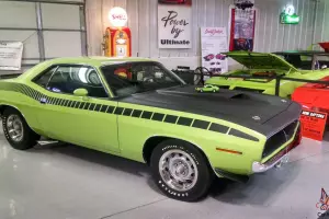 Plymouth : Barracuda cuda