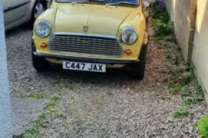 Classic austin mini