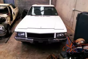 HOLDEN WB UTE