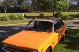 Holden Gemini TX Genuine Survivor Car