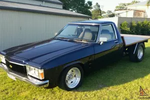 HZ Holden 1980 in Shortland, NSW