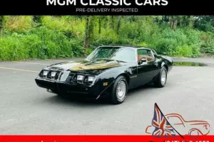 1981 Pontiac Firebird U19 BLACK/GOLD T TOPS TURBO Photo