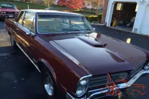 1965 Pontiac GTO