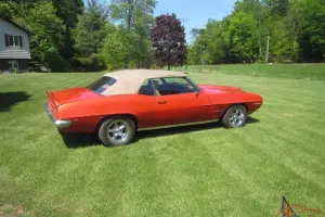 Pontiac: Firebird Leather