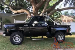 1976 Chevrolet C-10