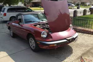 Alfa spider