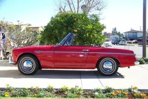 1969 Datsun Fairlady SR311 Roadster Z 1966 1967 1968 240 restored mg convertible