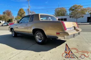 1986 Oldsmobile Cutlass Salon