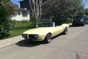 Pontiac : Firebird Convertible