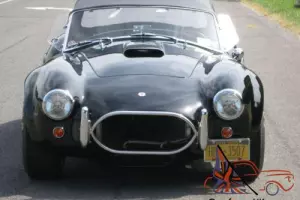 1965 Shelby Contempoary Cobra Photo