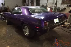 Plymouth : Barracuda cuda