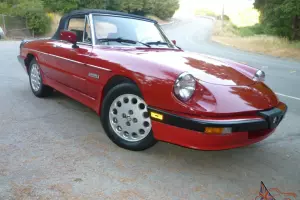 1986 Alfa Romeo Spider Quadrigolio