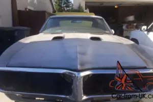 1967 Pontiac Firebird Photo