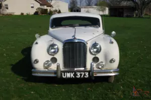 Jaguar : Other wood and leather