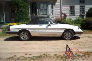 1986 Alfa Romeo Spider veloce