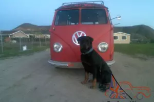 1953 Volkswagen Bus/Vanagon Barndoor 23 window