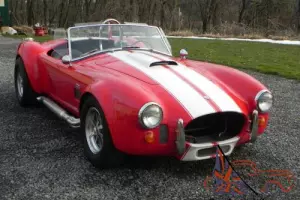 1966 Shelby Cobra Photo