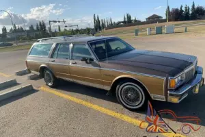 1984 PONTIAC PARISIENNE WOOD GRAIN  WAGON 2 OWNER SURVIVOR