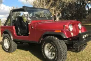 1979 Jeep CJ JP Photo