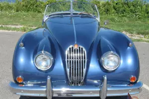 Jaguar : XK Roadster