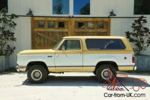 1979 Plymouth Trailduster Photo