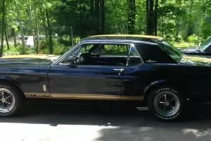 Mustang Shelby GT 350 H Tribute Photo