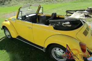 1976 Volkswagen Beetle - Classic