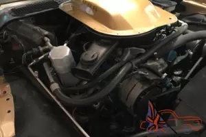 1981 Pontiac Trans Am Photo