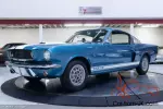1966 Shelby All Models Fastback