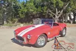 1965 Ford Shelby Replica