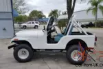 1983 Jeep CJ