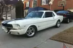 Shelby Tribute White/Dark Blue Stripes 5.0 5 Speed