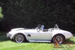 1966 Shelby Cobra