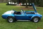 Blue with White Racing Stripes.