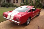 1966 Shelby GT350
