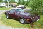 Pontiac: Trans Am Firebird
