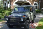 1991 Mercedes-Benz G-Class WOLF 250