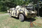 1966 Other Makes