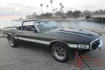 1969 Shelby Shelby GT 350 Cobra GT