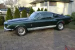 Shelby GT 500